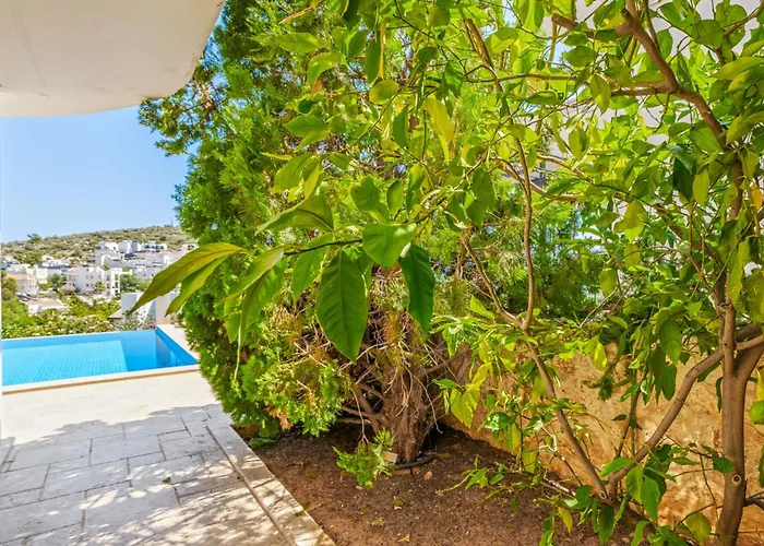 别墅 Vanilla 卡尔坎