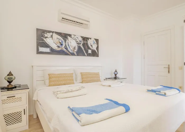 别墅 Vanilla 卡尔坎